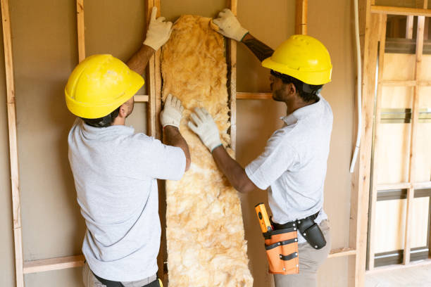 Best Wall Insulation Installation in Fellsmere, FL